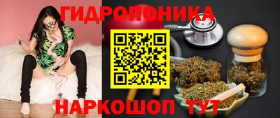 мдпв Тулун