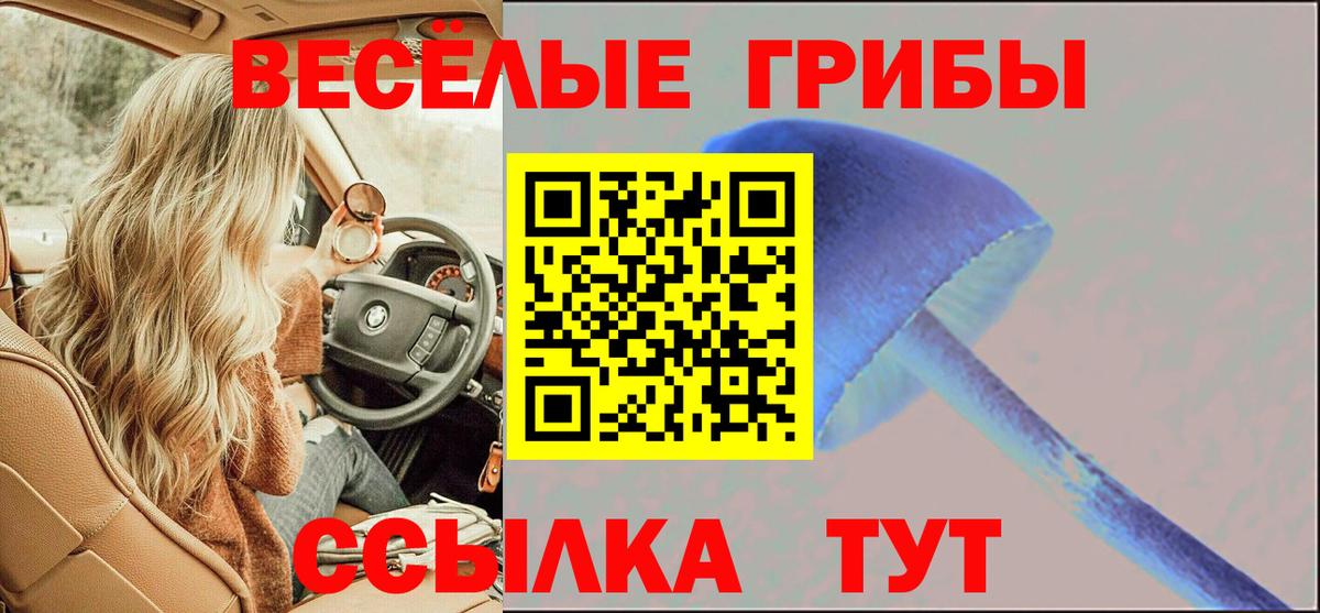 Алексеевка  Псилоцибиновые грибы MAGIC MUSHROOMS  как найти закладки  Вход с VPN 