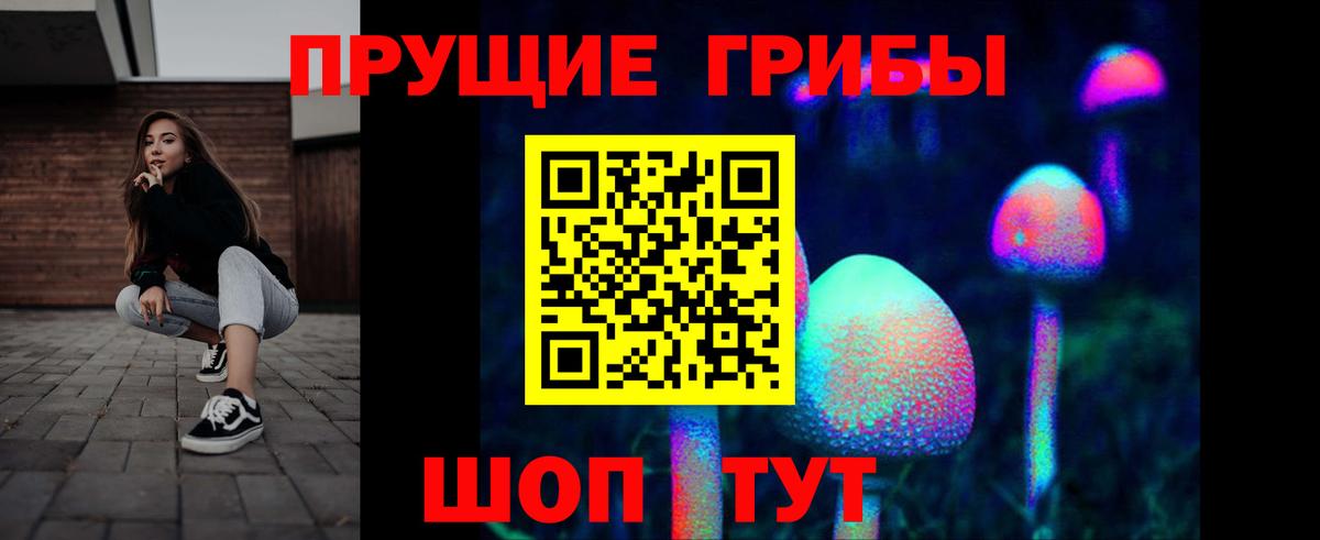 Псилоцибиновые грибы прущие грибы Алексеевка
