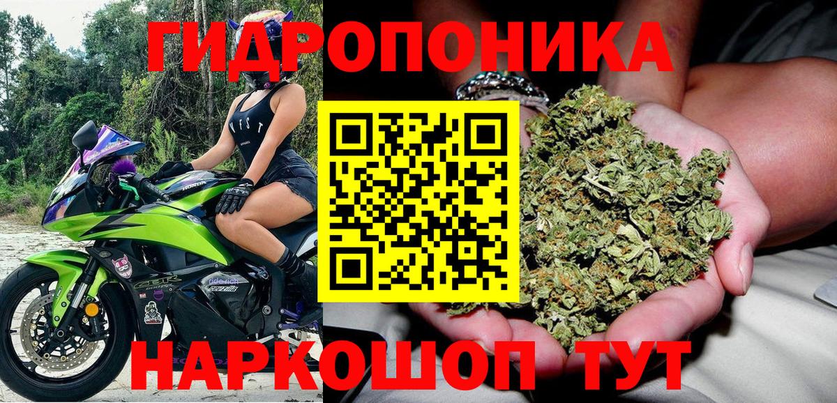 Бошки марихуана VHQ Алексеевка
